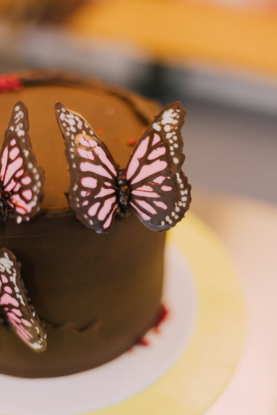 Chocolate Butterfly and Ganache icing class